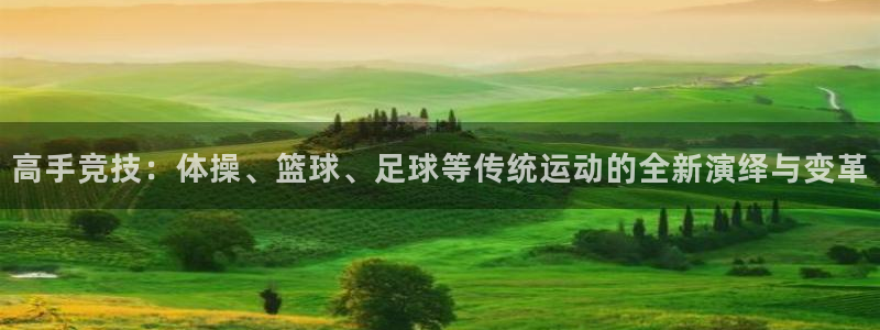 3377体育官网下载平台是正规平台吗:高手竞技:体操、篮球、