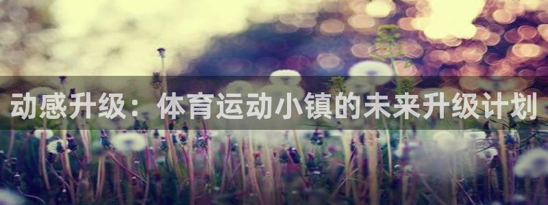 3377体育官方正版app娱乐网站:动感升级:体育运动小镇的